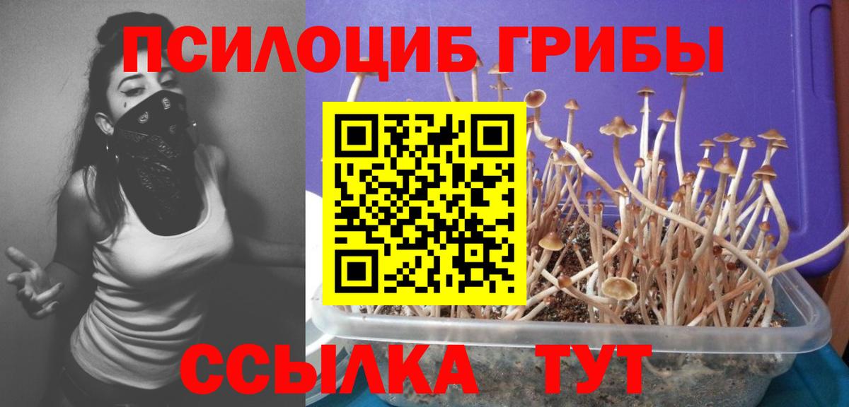 Галлюциногенные грибы Psilocybine cubensis  закладки  Евпатория  Вход с VPN 